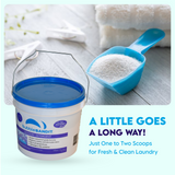 Bubble Bandit Laundry Detergent Powder with Natural Phosphates. 125 Loads in a 7.8 lb. bucket.